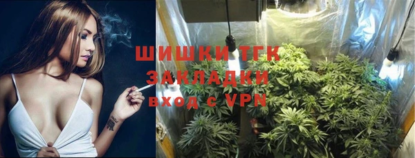 тгк Бронницы