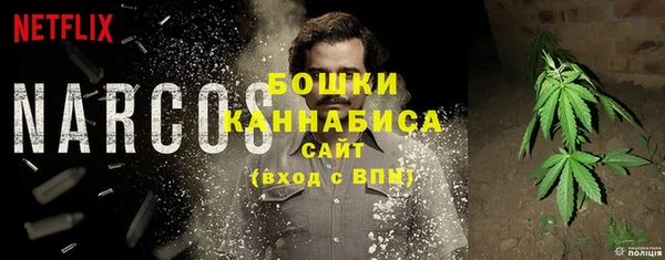 сатива Богородицк