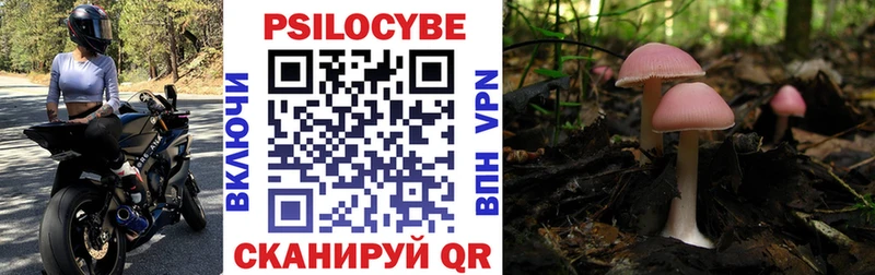 Галлюциногенные грибы Cubensis  Тольятти 